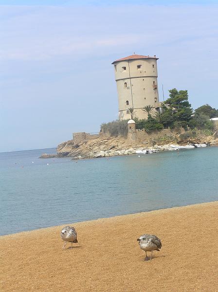 zeh-giglio-08 (33).JPG